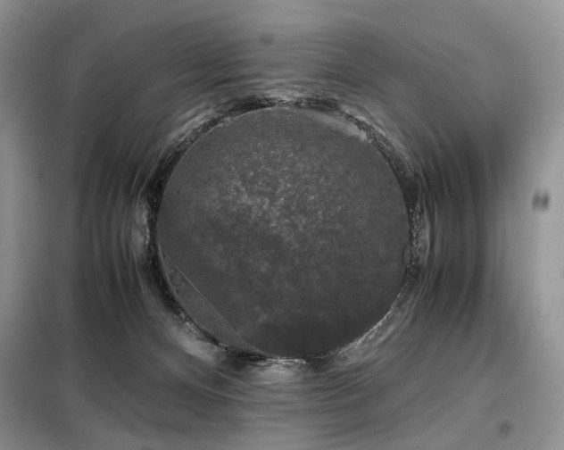 X0000099290128200805021240