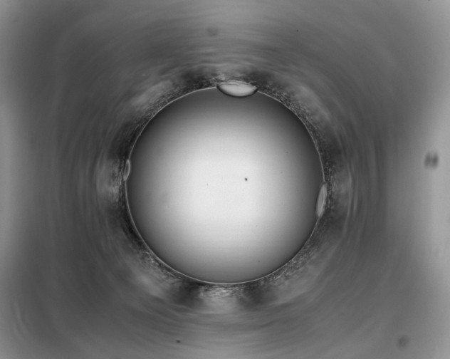 X0000099290129200805021240