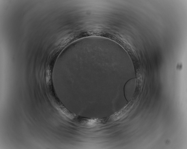 X0000099290130200805021240