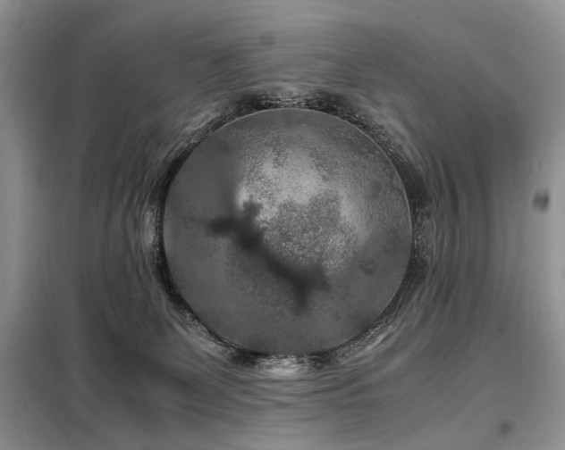 X0000099290131200805021240