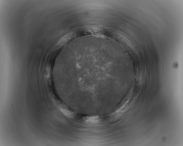 X0000099290132200805021240