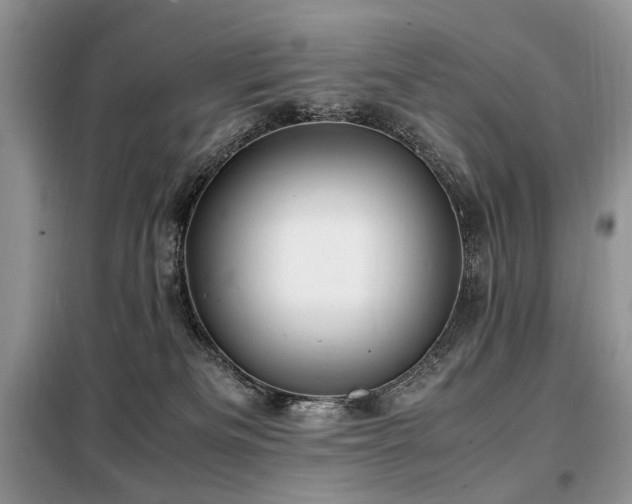 X0000099290133200805021240