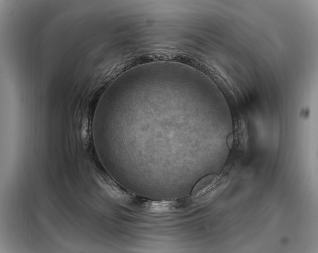 X0000099290134200805021240