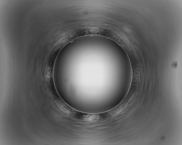 X0000099290135200805021240
