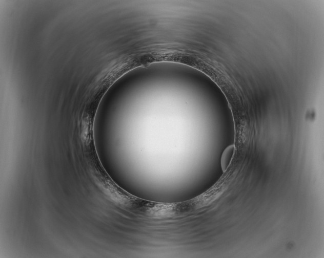 X0000099290138200805021240