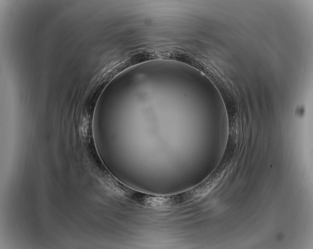 X0000099290139200805021240