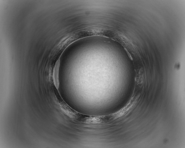 X0000099290140200805021240