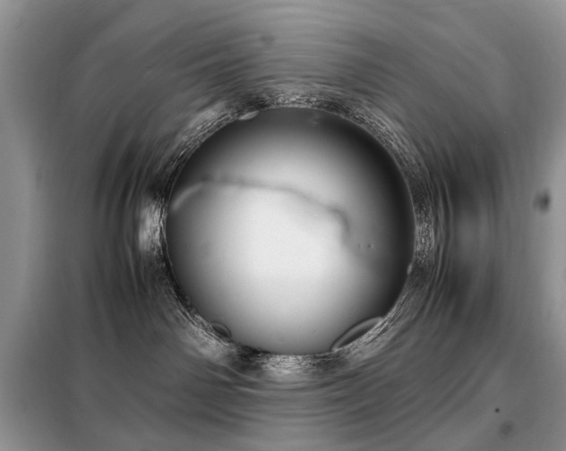 X0000099290142200805021240