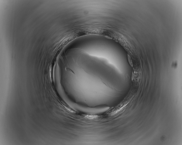 X0000099290143200805021240