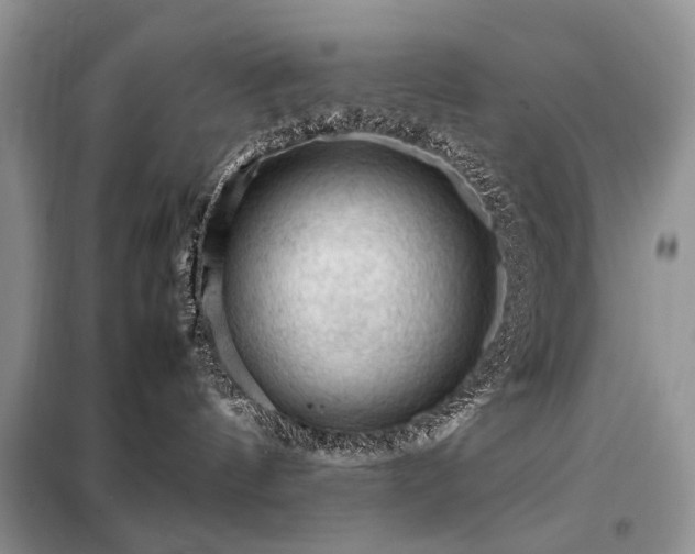X0000099290144200805021240