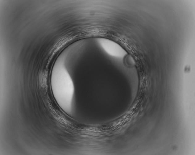 X0000099290146200805021239