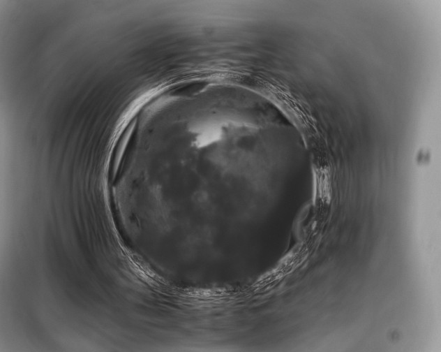 X0000099290147200805021239