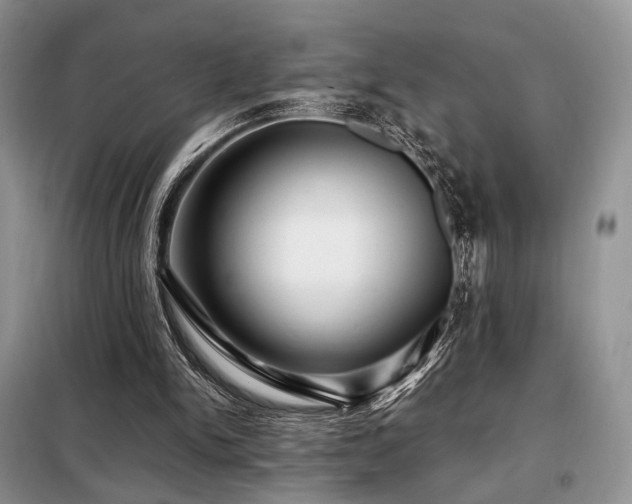 X0000099290150200805021239