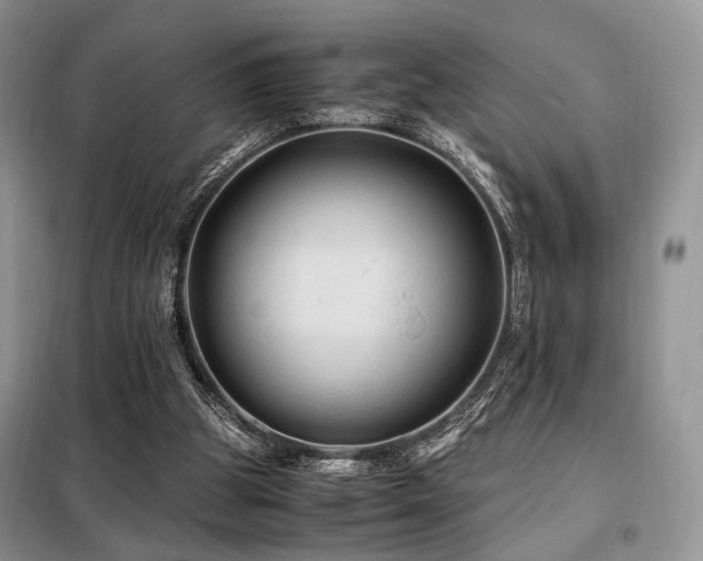 X0000099290153200805021239