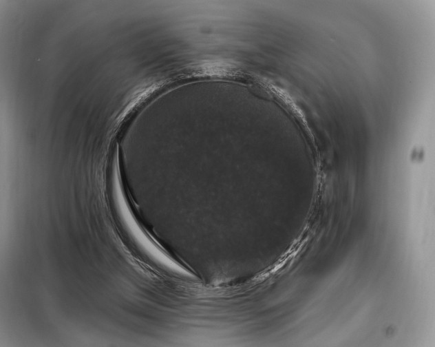 X0000099290154200805021239