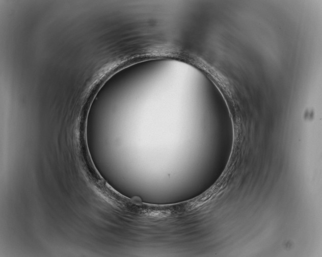 X0000099290155200805021239