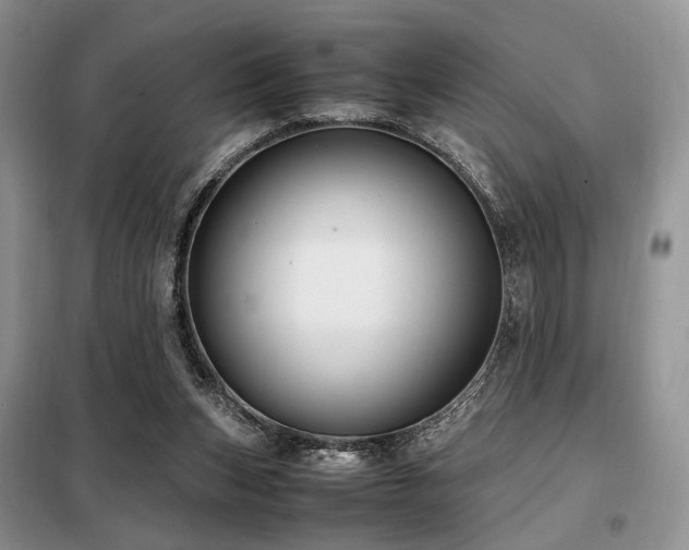X0000099290159200805021239