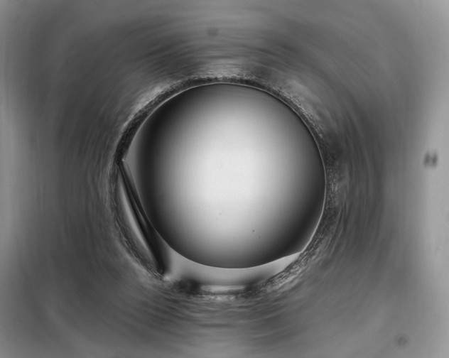 X0000099290160200805021239
