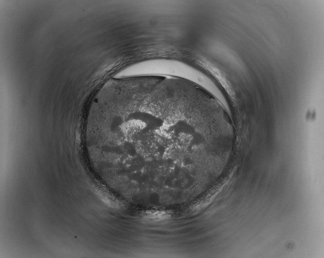X0000099290161200805021239