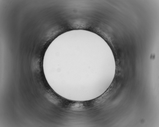 X0000099290162200805021239
