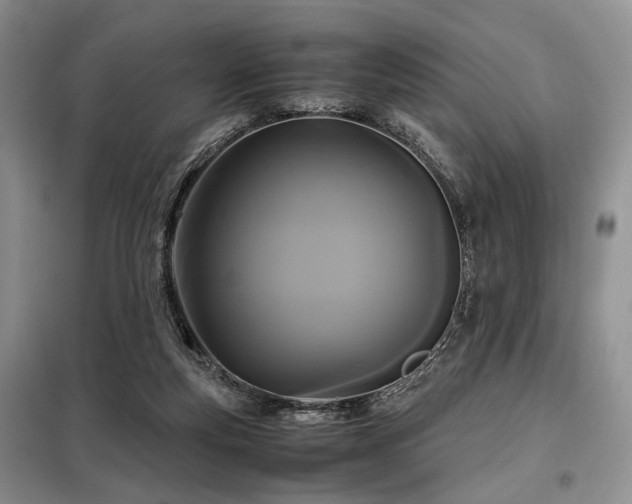 X0000099290163200805021239