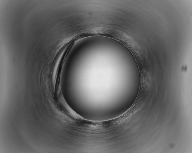 X0000099290164200805021239