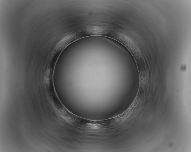 X0000099290167200805021239