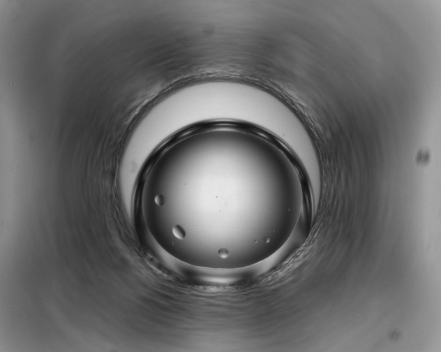 X0000099290168200805021239