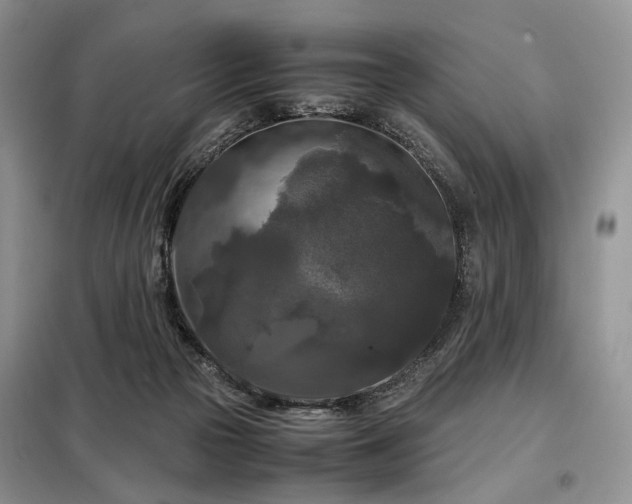 X0000099290169200805021239