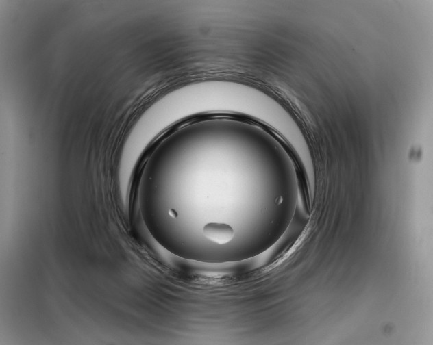 X0000099290170200805021239