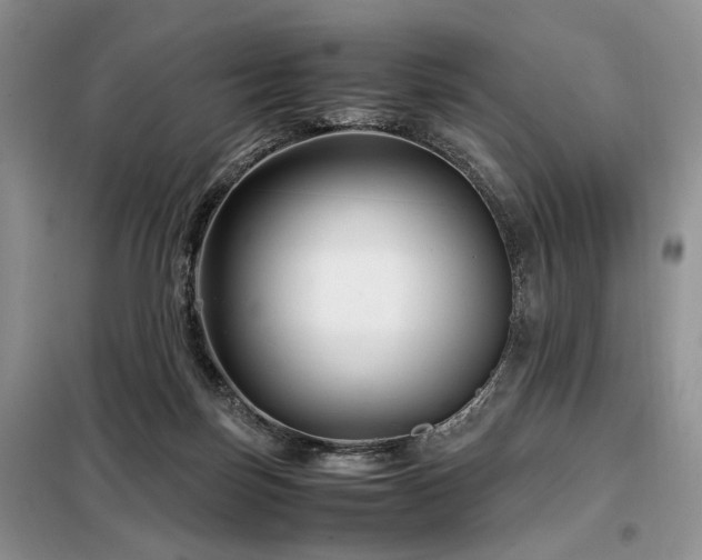 X0000099290171200805021239