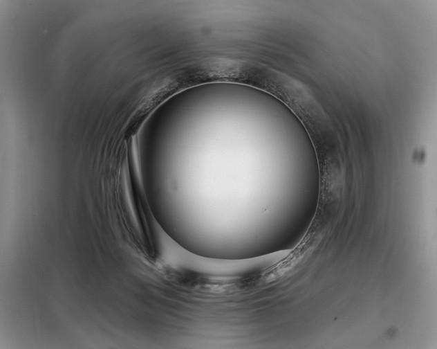 X0000099290172200805021239