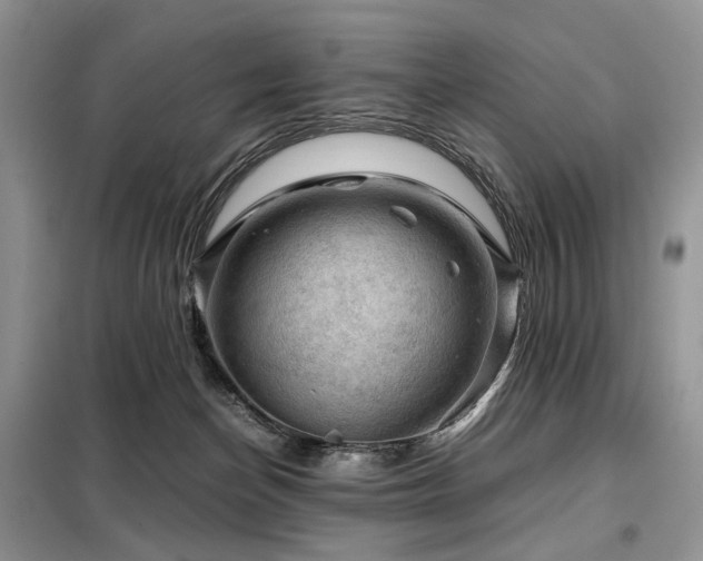 X0000099290174200805021239