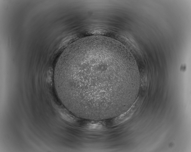 X0000099290175200805021239