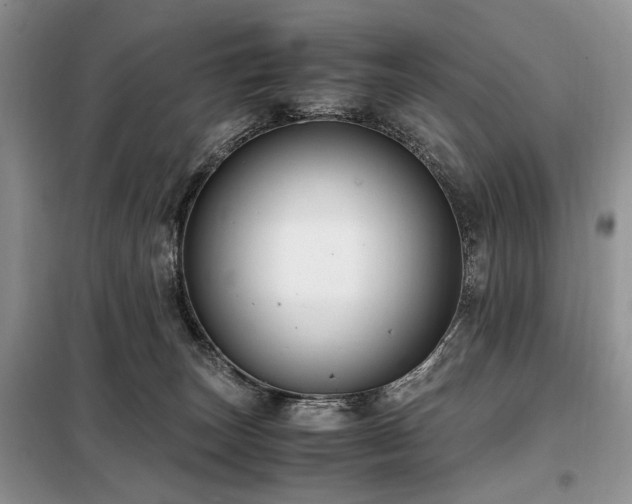 X0000099290179200805021239