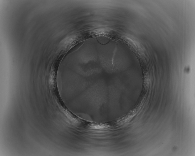X0000099290181200805021240