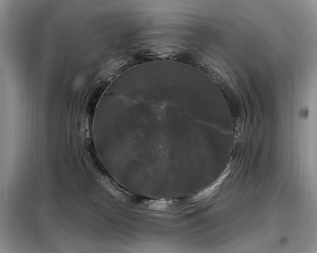 X0000099290182200805021240
