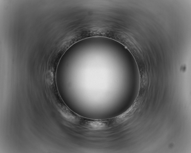 X0000099290183200805021240