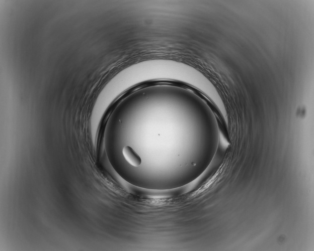 X0000099290184200805021240