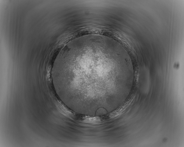 X0000099290185200805021240