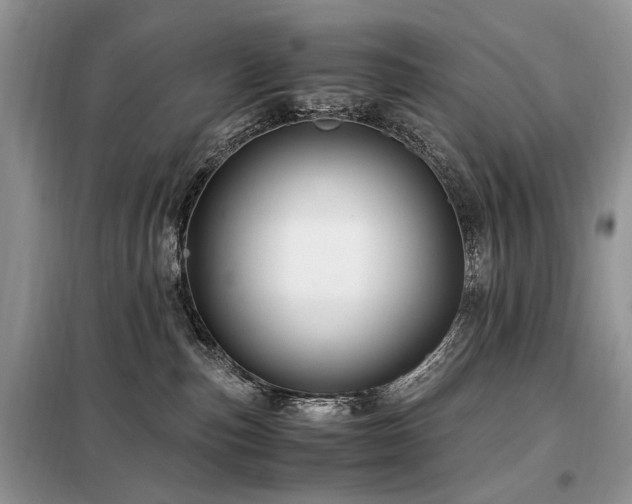 X0000099290187200805021240