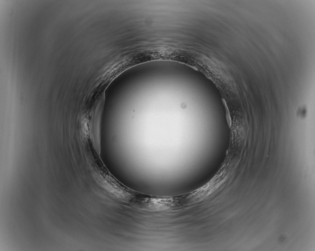 X0000099290188200805021240
