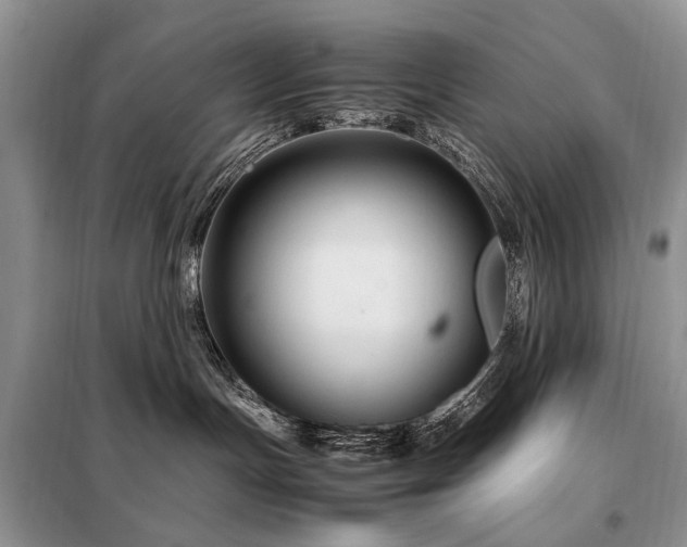 X0000099290191200805021240
