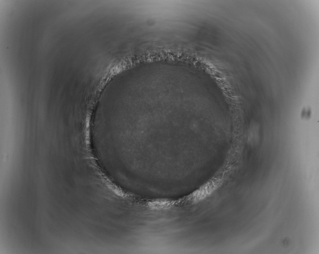 X0000099290192200805021240