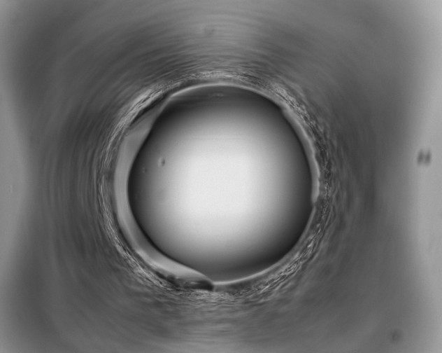 X0000099290193200805021239