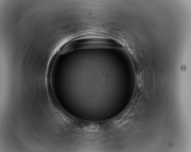 X0000099290196200805021239
