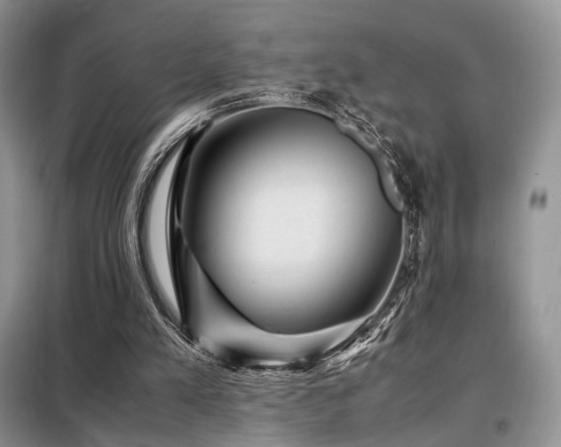 X0000099290197200805021239