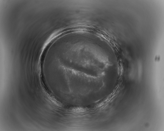 X0000099290198200805021239