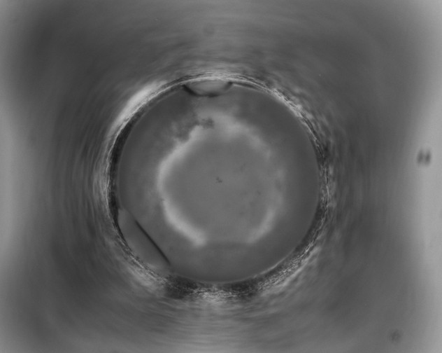 X0000099290199200805021239