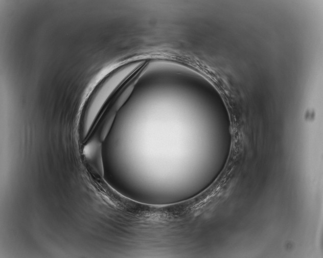 X0000099290200200805021239